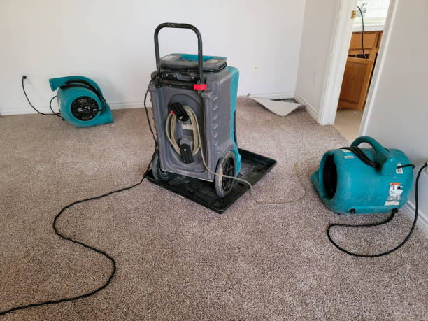 Best Professional water damage repair  in Fruitland Park, FL
