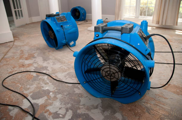 Best Water damage cleanup near me  in Fruitland Park, FL