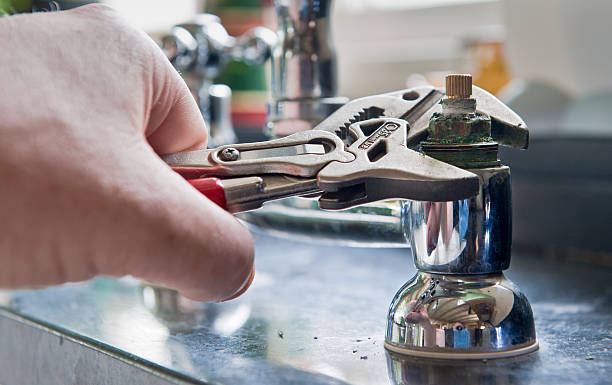 Best Flooded house restoration  in Fruitland Park, FL