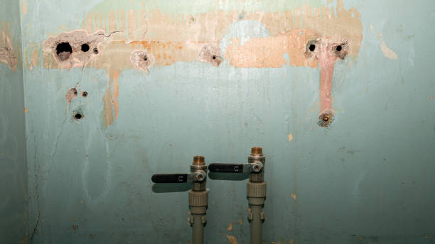 Best Commercial water damage restoration  in Fruitland Park, FL