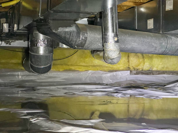 Best Professional water damage repair  in Fruitland Park, FL