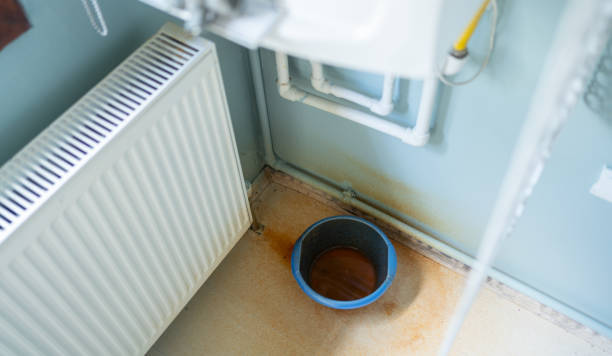 Best Sewage cleanup and water damage restoration  in Fruitland Park, FL