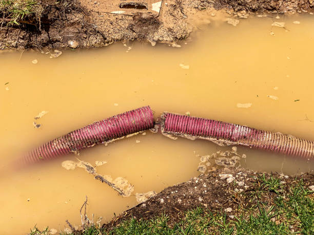 Best Emergency water damage restoration  in Fruitland Park, FL