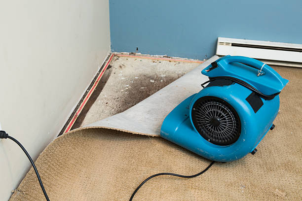  Fruitland Park, FL Water damage restoration Pros
